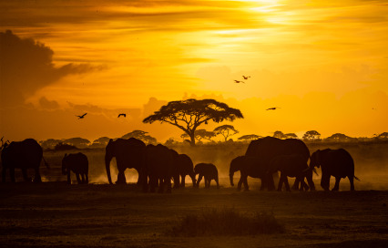 Pakistan to Kenya Distance: Routes, Flights & Tips