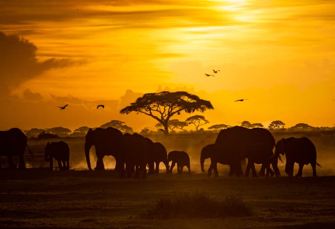 Pakistan to Kenya Distance: Routes, Flights & Tips Pakistan to Kenya Distance: Routes, Flights & Tips