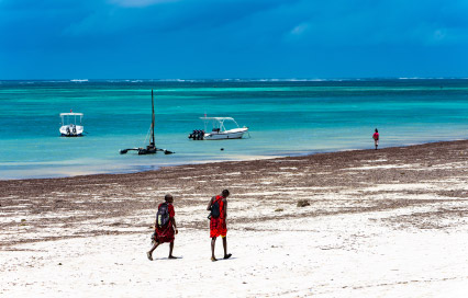 Explore The Best Places to Visit in Ukunda for Wildlife and Nature