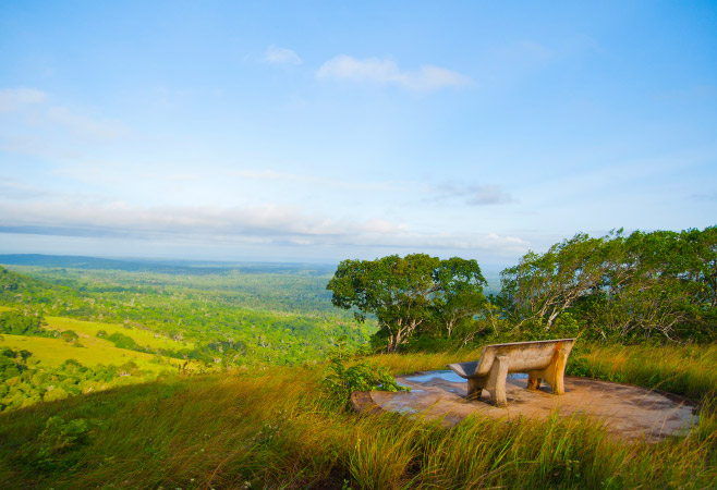 The Shimba Hills National Reserve is renowned for its dense forests, rolling hills, and abundant wildlife