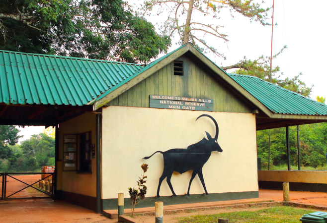 Shimba Hills National Reserve has two main entry points: Shimba Gate (also called the Main Gate, located near Kwale town) and Kivumoni Gate