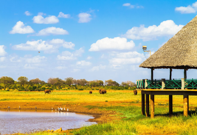 Shimba Hills Lodge enjoys a prime location within Shimba Hills National Reserve, making it a paradise for nature lovers and wildlife enthusiasts.