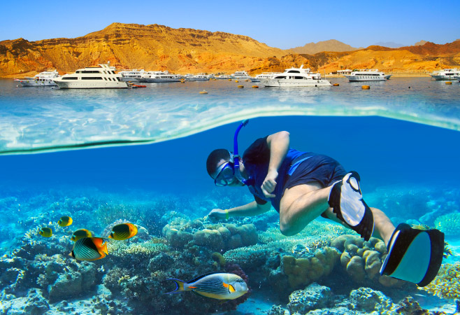 Wasini Island is renowned for its thrilling water activities, with snorkeling and scuba diving being the most popular among visitors.