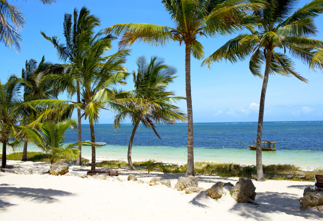 Tiwi Beach,Kenya slumbers under emerald palms and piercing blue skies.