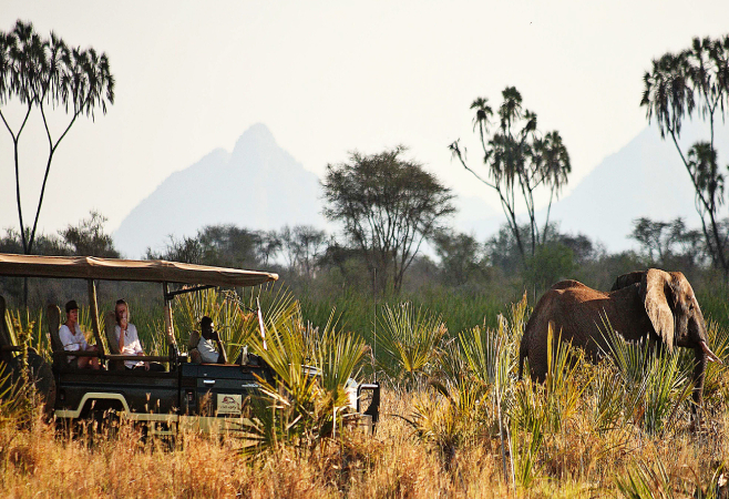  Travel essentials and get inspiration from the best guide to Meru National Park.