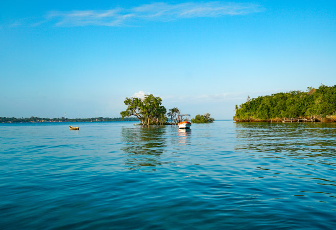 Travel tips while traveling in Wasini Island