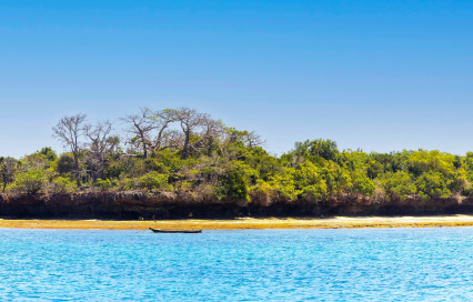 Make Unforgettable Memories! Discover Ocean Paradise on a Wasini Island Day Trip