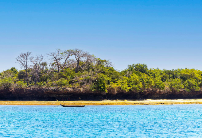 Enjoy dolphin spotting, snorkeling and a fresh seafood lunch on this unforgettable day trip