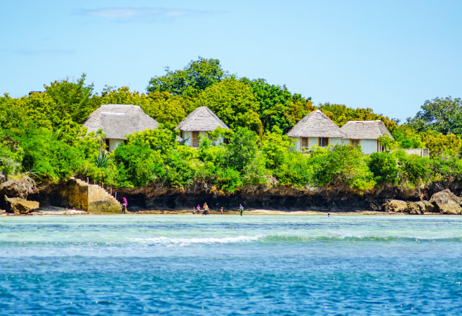 Visitors to Wasini Village can experience the local culture by visiting the village's historic mosque and traditional Swahili houses and participating in cultural activities. 