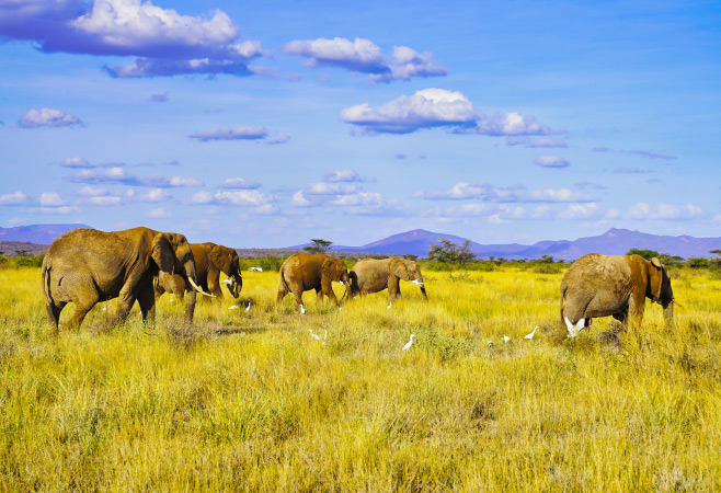 The best times for wildlife viewing are during the dry seasons